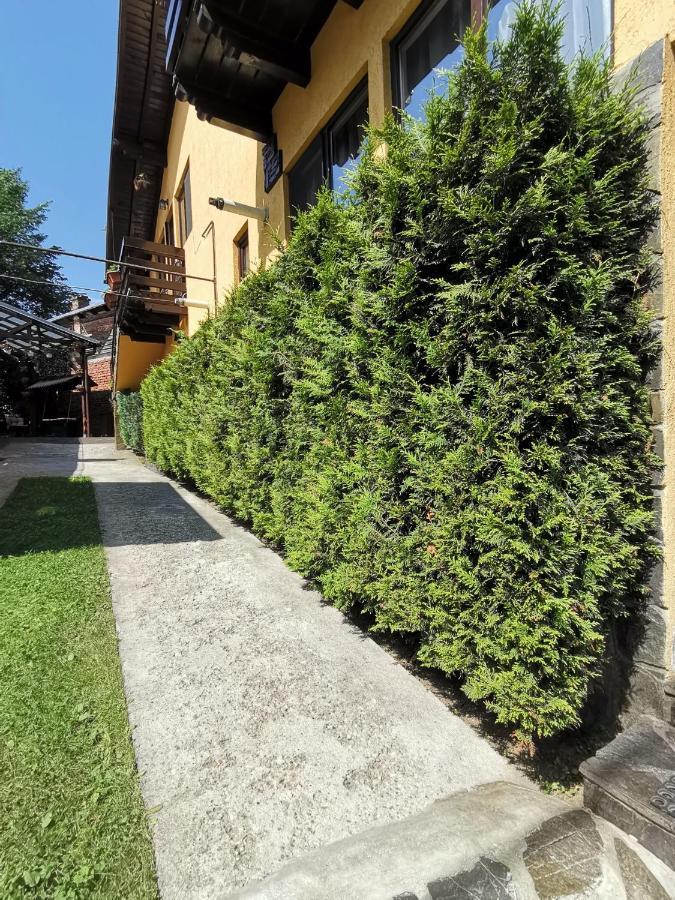 Shelby Accommodation -Adult Only- Sinaia Exterior foto