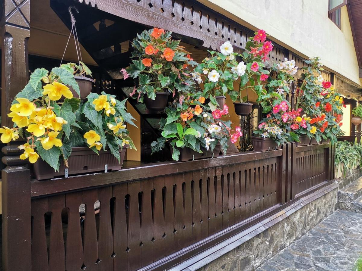 Shelby Accommodation -Adult Only- Sinaia Exterior foto